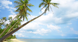 Jak skorzystać z dofinansowania wypoczynku?