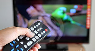 LCD, Plazma czy LED? Który telewizor kupić?